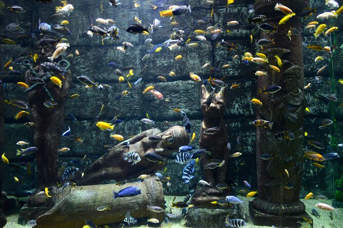 Half Day Antalya Aquarium Tour And Wax Museum - Pickup Experience in Practice: The Driver Makes It Feel Easy