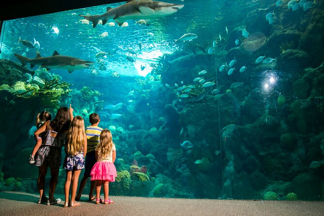 Half Day Antalya Aquarium Tour And Wax Museum - How to Spend Your 2.5 Hours Inside the Aquarium