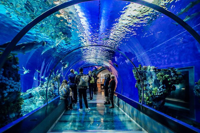 Half Day Antalya Aquarium Tour And Wax Museum - When It Might Not Be Your Best Match