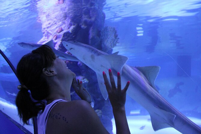 Half Day Antalya Aquarium Tour And Wax Museum - Should You Book This Half-Day Antalya Aquarium and Wax Museum Tour?
