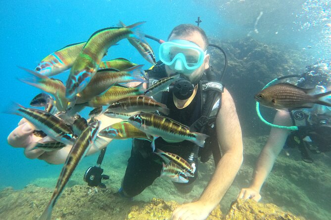 Half Day Scuba Diving @ Duden Waterfalls - Snacks, Hot Drinks, and a Practical Recovery Window