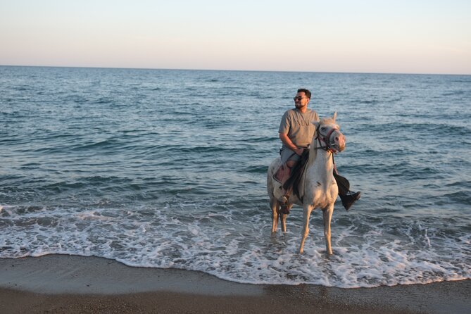 Horse back Riding in Antalya - The Forest Trail: The Part Beginners Usually Like More