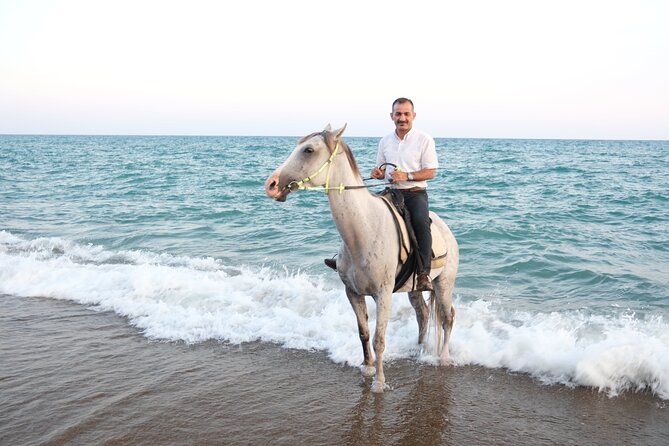 Horse back Riding in Antalya - Safety, Helmets, and Horse Care: What to Trust and What to Check