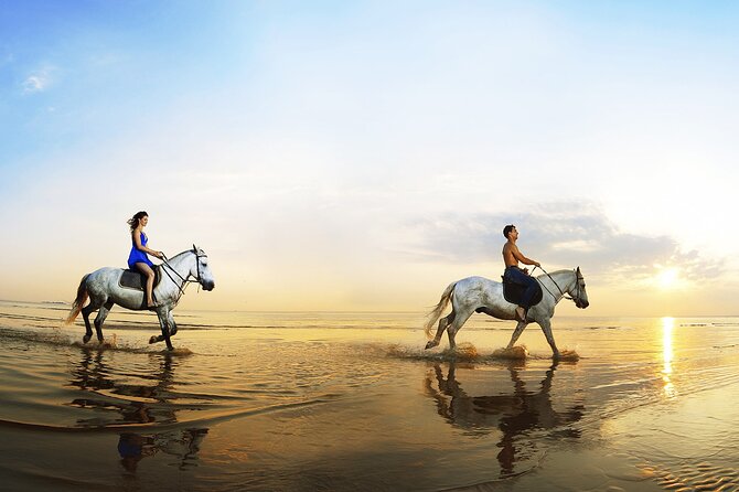 Horse Riding in Antalya,Belek,Lara Beach(Sunrise,Sunset,Day Time) - Photos and phone rules: how to protect your memories