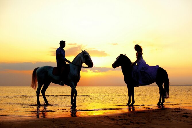 Horse Riding in Antalya,Belek,Lara Beach(Sunrise,Sunset,Day Time) - Safety check you can do in minutes