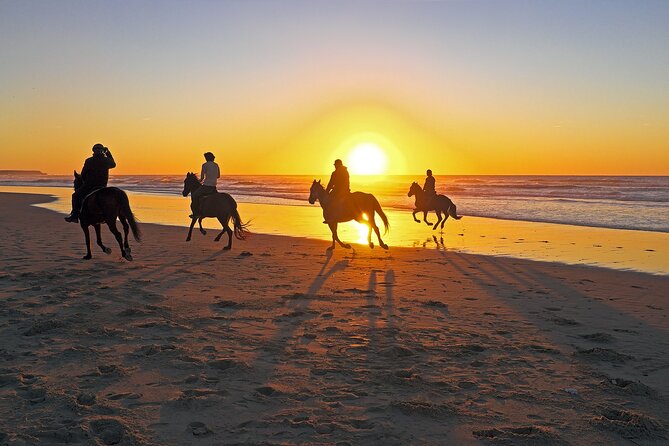 Horse Riding in Antalya,Belek,Lara Beach(Sunrise,Sunset,Day Time) - Price and value: is $41.54 a good deal?