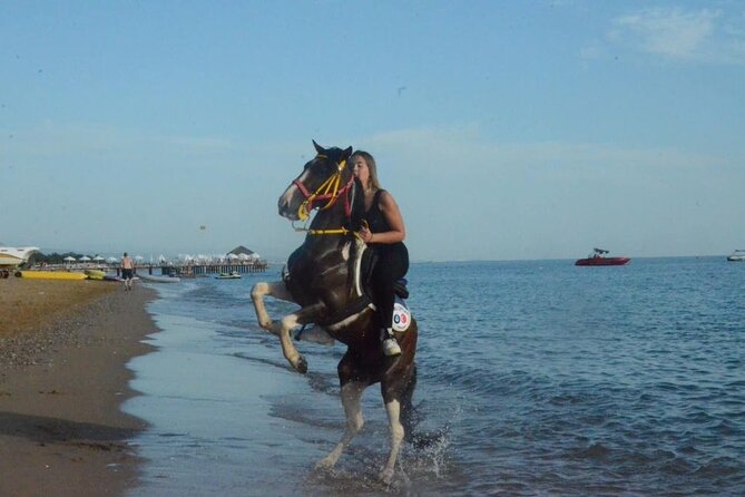 Horse Riding in Manavgat Side Forest and Beach - Side to the Horse Club: How the Day Actually Gets Rolling