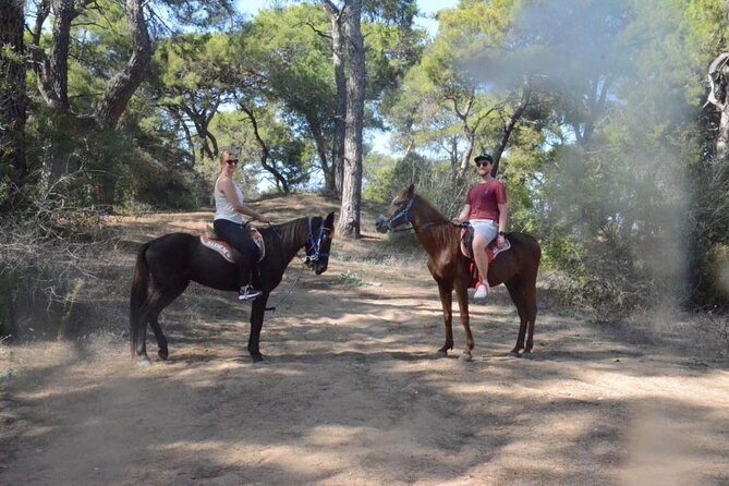 Horse Riding in Manavgat Side Forest and Beach - Two Ways to Ride: Coastal Road vs Pine Forest Path