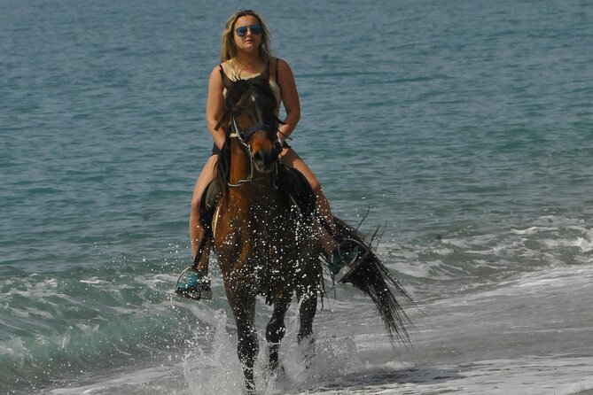 Horse Riding in Manavgat Side Forest and Beach - The Middle of the Ride: Pace, River Break, and Horse Temperament