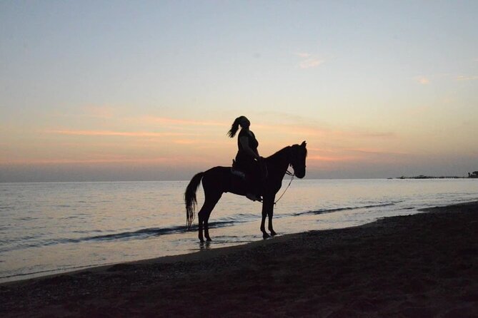 Horse Riding in Manavgat Side Forest and Beach - Price and Value: Is $56.72 a Good Deal?