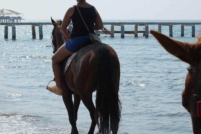 Horse Riding on the Beach in Side - How the Side Horse Ride Works: pickup, briefing, and meeting your horse