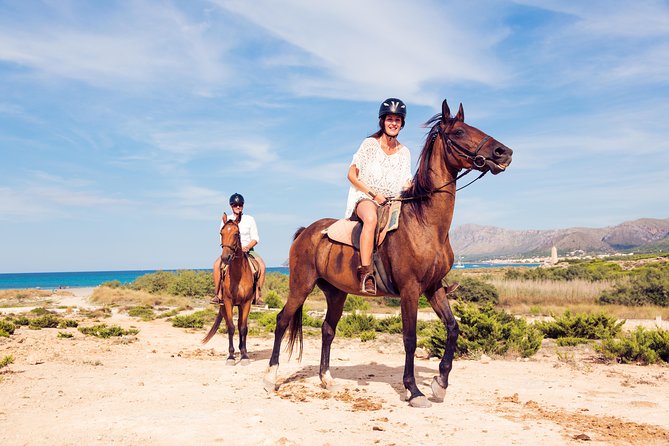 Horse Riding on the Beach in Side - What the 2 Hours Really Feel Like on Horseback