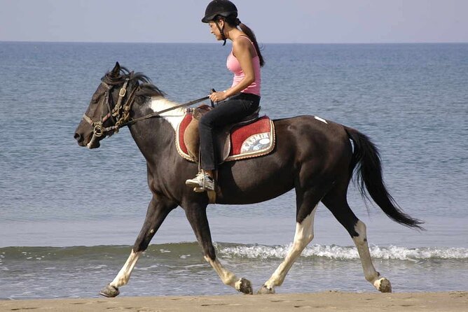 Horse Riding on the Beach in Side - Should you book Horse Riding on the Beach in Side?