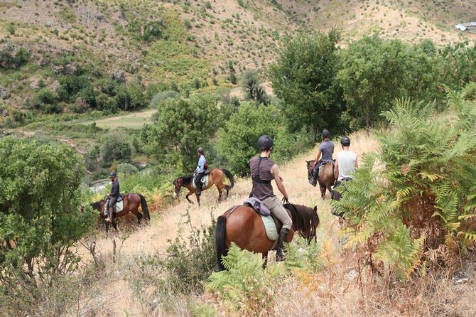 Kemer Horse Safari Experience With Free Hotel Transfer - Meet The Instructors First, Then Ride With Confidence