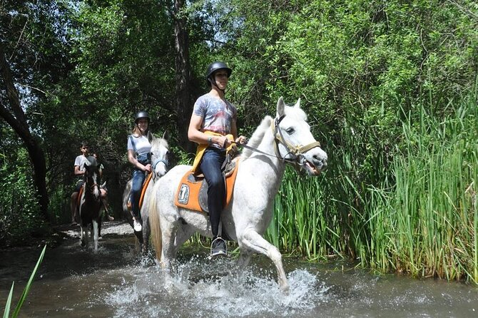 Kemer Horse Safari Experience With Free Hotel Transfer - Price and Value: What $60 Gets You in Kemer