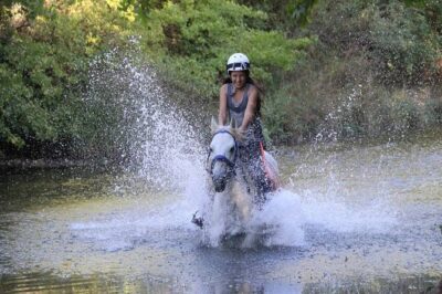 Kemer Horse Safari Experience With Free Hotel Transfer - The 1-Hour Horse Ride: What You Actually Do