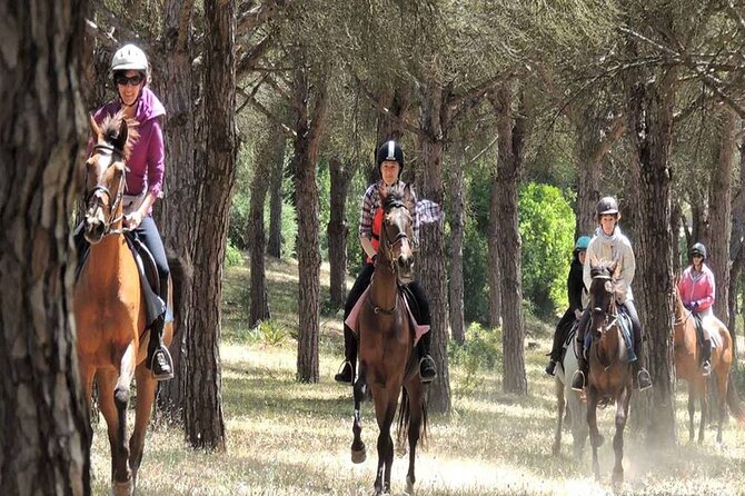 Kemer Horse Safari Experience With Free Hotel Transfer - What To Wear and Bring (So You’re Not Miserable in Hour One)