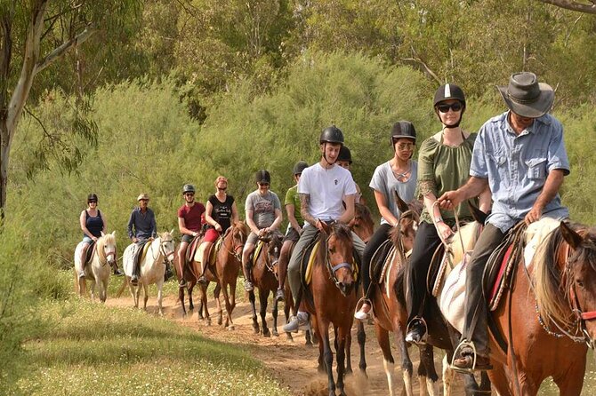 Kemer Horse Safari Experience With Free Hotel Transfer - Small Group Size (Max 12) and Why That Matters