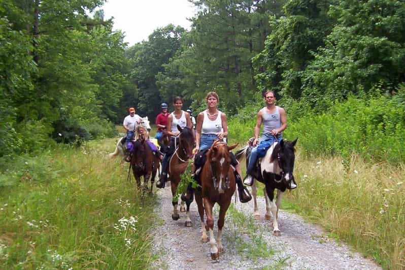 Kemer Horse Safari, pick up from Kiris, Beldibi, Goynuk - Kemer Horse Safari at a Glance: What You’re Really Buying