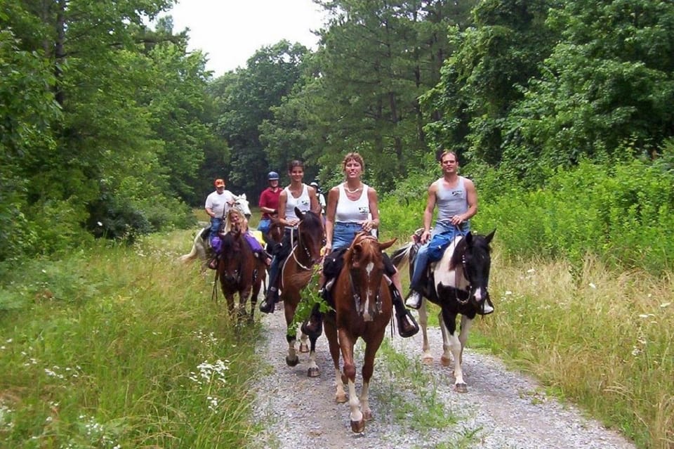 Kemer Horse Safari, pick up from Kiris, Beldibi, Goynuk - What’s Included (And Why It’s Good Value)