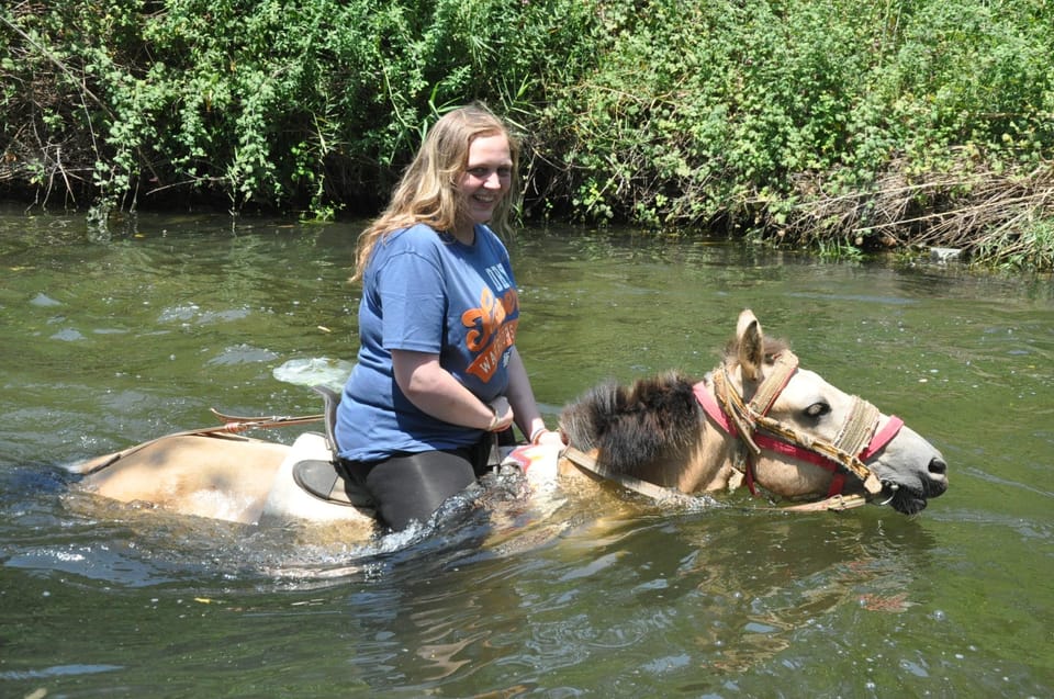 Kemer Horse Safari, pick up from Kiris, Beldibi, Goynuk - Entering the Kemer Forest on Horseback
