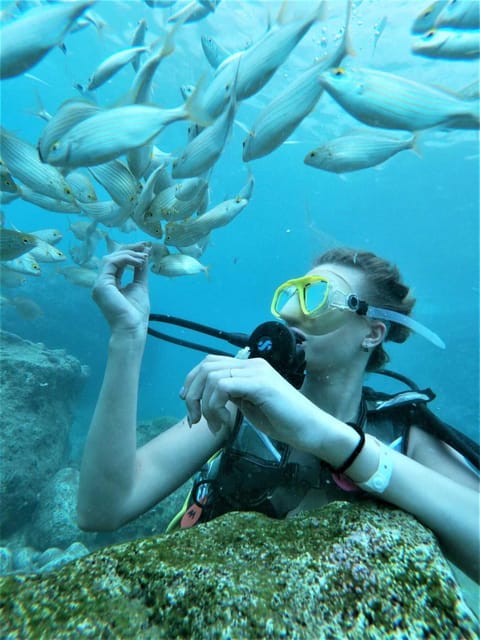 Kemer: Scuba Diving Experience in Aquarium and Kiris Bays - Key highlights worth planning for