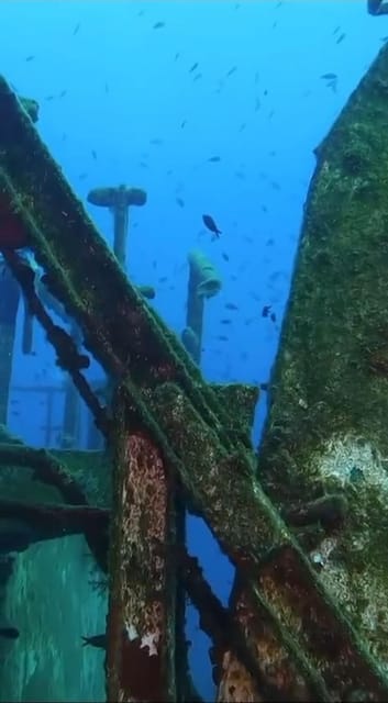 Kemer: Scuba Diving Experience in Aquarium and Kiris Bays - Price and value: $29 for two underwater sessions plus lunch