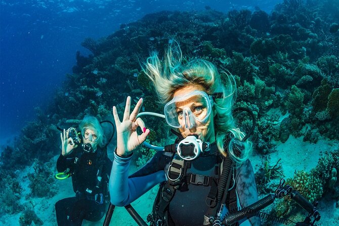 Kemer Scuba Diving Experience: Two Dives with Lunch - What the Briefing Teaches You Before Going In