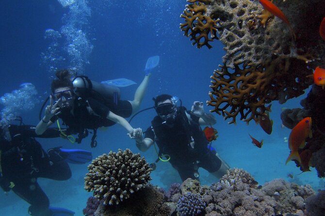 Kemer Scuba Diving Experience: Two Dives with Lunch - Who Should Book This Kemer Scuba Experience