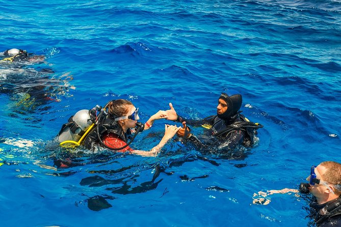 Kemer Scuba Diving Tour Incl. Lunch with Opt. Hotel Transfer - What you’ll see off the Kemer coast