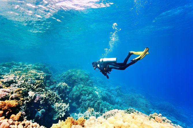 Kemer Scuba Diving Tour Incl. Lunch with Opt. Hotel Transfer - Before you go in: orientation, safety, and step-by-step coaching
