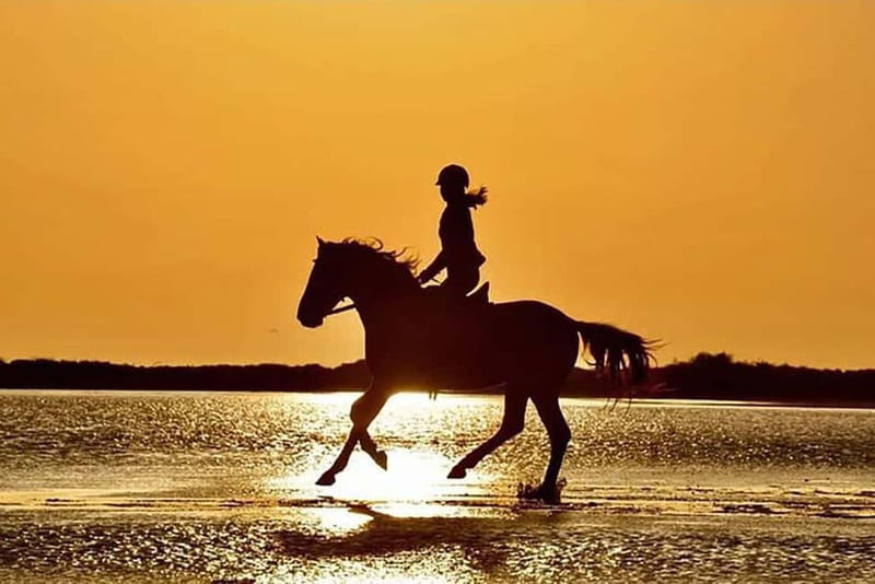 Manavgat Side: Horse Riding on the Beach and in the Forest - Key things to know before you saddle up