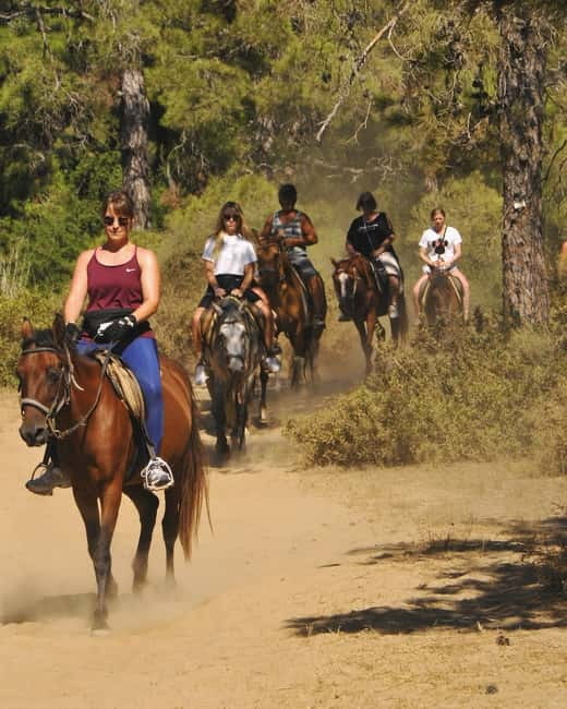 Manavgat Side: Horse Riding on the Beach and in the Forest - Meet Your Horse and Learn the Basics Without Feeling Rushed