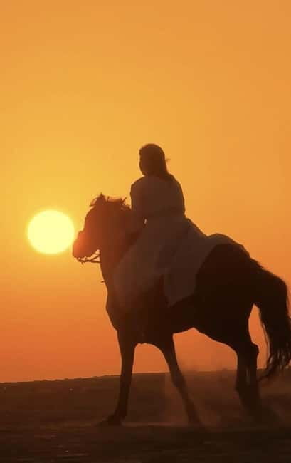 Manavgat Side: Horse Riding on the Beach and in the Forest - Following the Guide Near Roads: The Part People Underestimate
