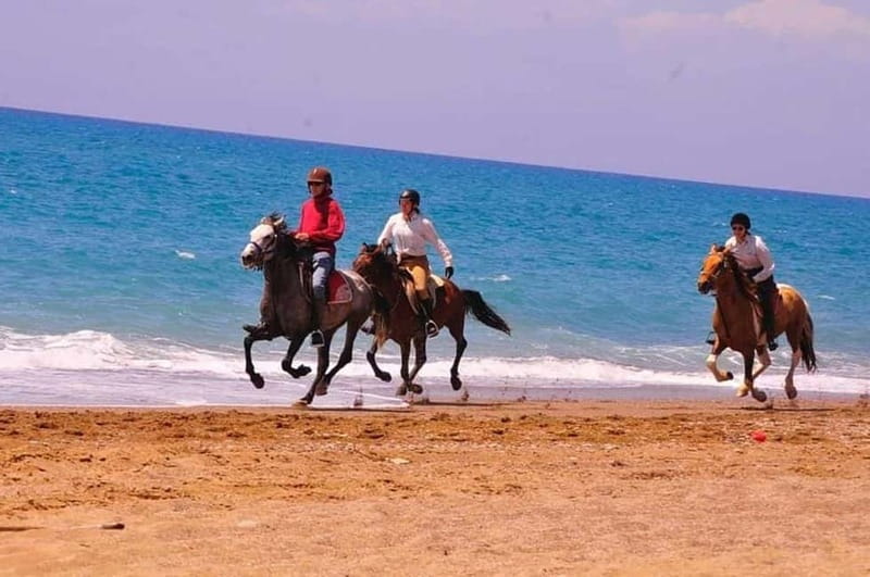 Manavgat Side: Horse Riding on the Beach and in the Forest - The Ride Itself: Pine Forest Trails, River Pause, Then Sand