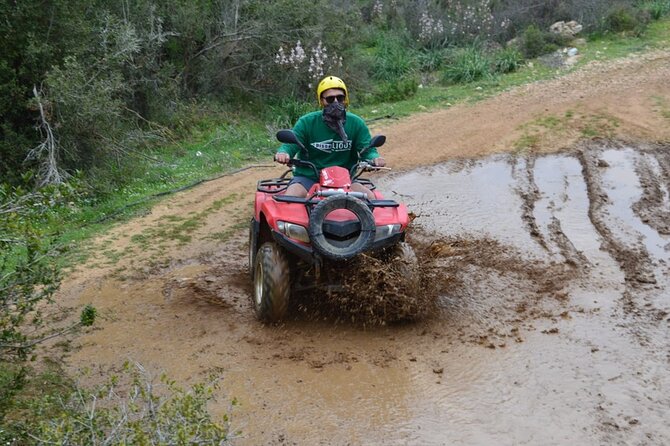 Quad Biking in Kemer Forests & Taurus Mountains - What the riding actually includes: dust, trees, and open stretches