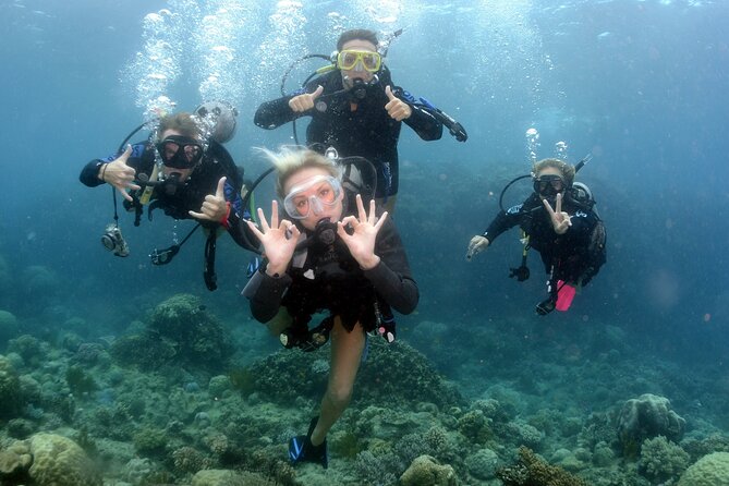 Scuba Diving in Antalya from Antalya & Kemer - Your first underwater session (about 5 meters): training that doubles as sightseeing