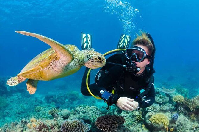 Scuba Diving Tour in Kemer with Lunch and Transfer - Key Points You’ll Care About in Kemer