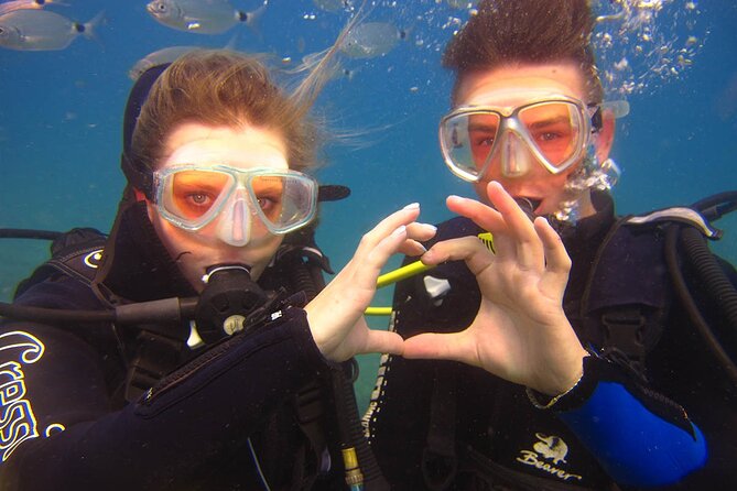 Scuba Diving Under Water Museum - Your day timeline: the 8:00 start and two underwater sessions