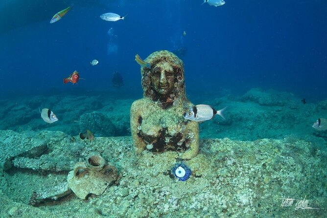 Scuba Diving Under Water Museum - Training for first-timers (and why it matters)