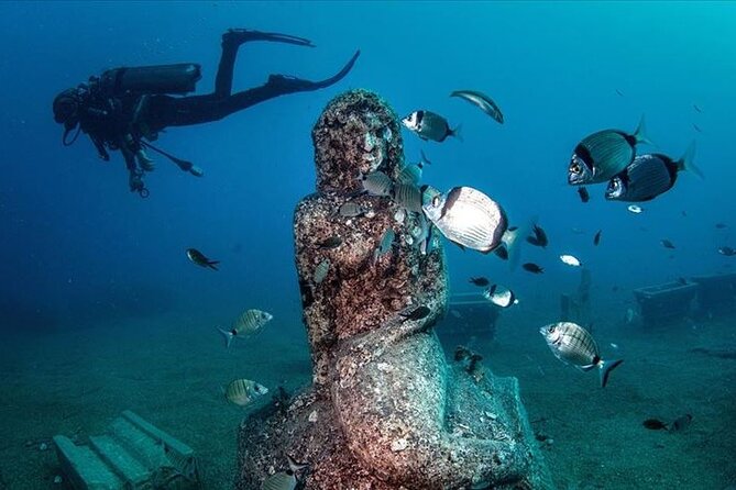 Scuba Diving Under Water Museum - Staff, safety, and insurance: the unsexy parts that matter