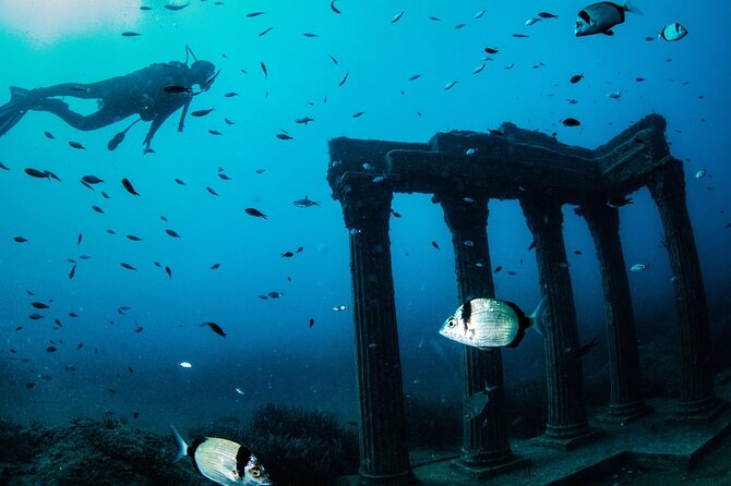 Scuba Diving Under Water Museum - Price and value: what $39.04 really buys you