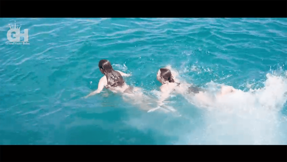 Side: Dolphin Island Boat Tour : A Seaside Adventure - Key highlights at a glance