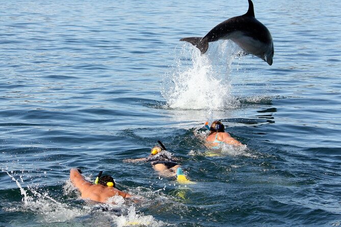 Side Dolphin Island Boat Trip With Lunch And Soft Drinks - Kumköy Pier to Stop One in Side: Your First Swim Break