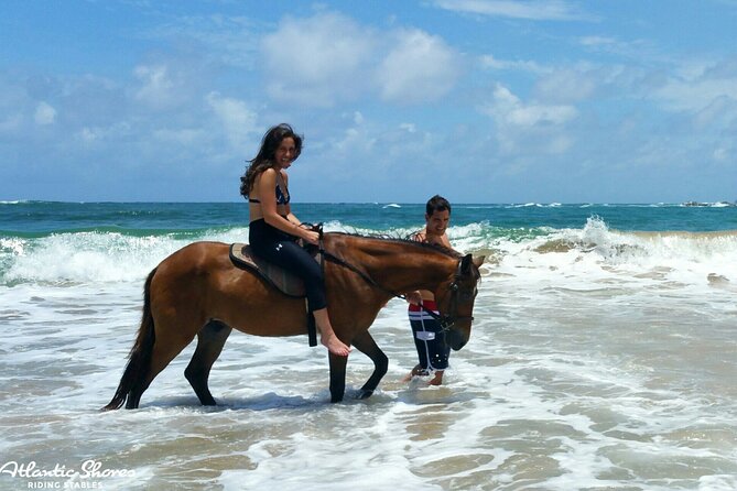Side Horse Riding On Beach And Through The Forests For 2 Hours - Horse Care Concerns: The Most Important Decision Factor