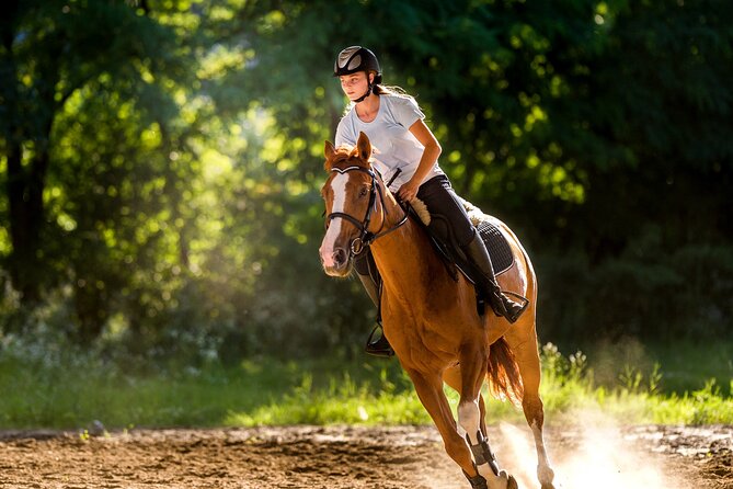 Side Horse Riding On Beach And Through The Forests For 2 Hours - Price and Value at $35: When This Feels Fair