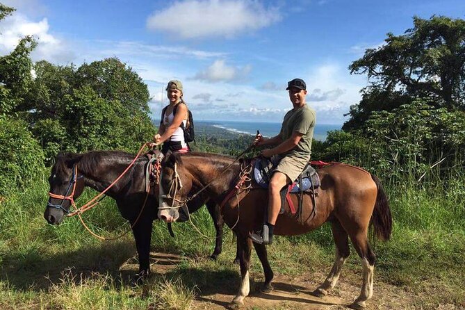 Side Horse Riding On Beach And Through The Forests For 2 Hours - What You’ll Ride: Forest-Orchard Country, Then Sand