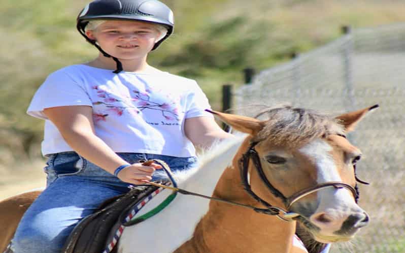 Side: Horse Safari Tour - Why a Horse Safari in Side Feels Like a Real Change of Pace