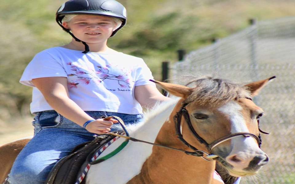 Side: Horse Safari Tour - The 1-Hour Timeline: What You’ll Do From Pickup to Saddle