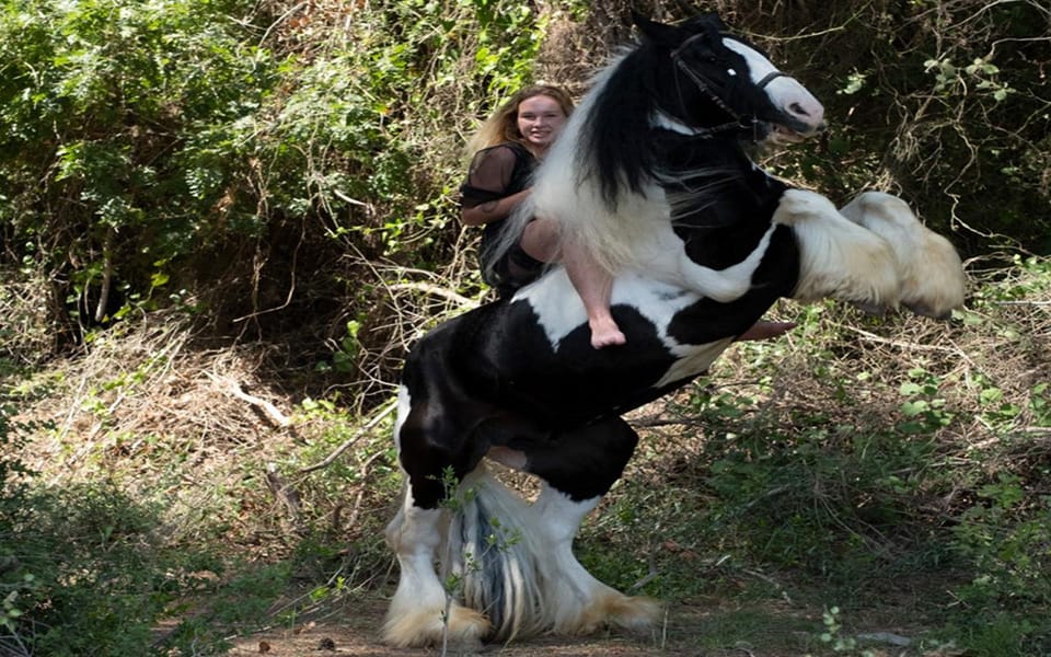 Side: Horse Safari Tour - Sea Views: Plan for Distant Horizons, Not Guaranteed Shorelines